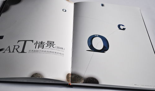 澳城樓書(shū) 深圳專(zhuān)業(yè)廣告設(shè)計(jì)與品牌形象塑造的領(lǐng)軍者