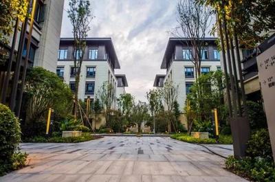 渝中區(qū)瞄準(zhǔn)“互聯(lián)網(wǎng)數(shù)據(jù)服務(wù)”新藍(lán)海，擘畫四年400億大數(shù)據(jù)智能化產(chǎn)業(yè)藍(lán)圖